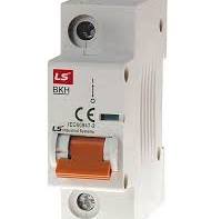 BK63H 1P C10A 10kA 120/240VAC UL1077 0626032263